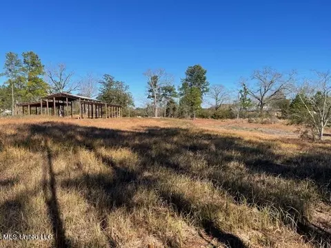172 Bolen Bryant Rd, Lucedale, MS 39452 photo 4