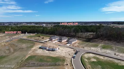 View/Area - 133 Bronson Bnd, Flowood, MS 39232 photo 3 of 4