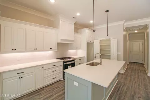Kitchen - 133 Bronson Bnd, Flowood, MS 39232 photo 1 of 2