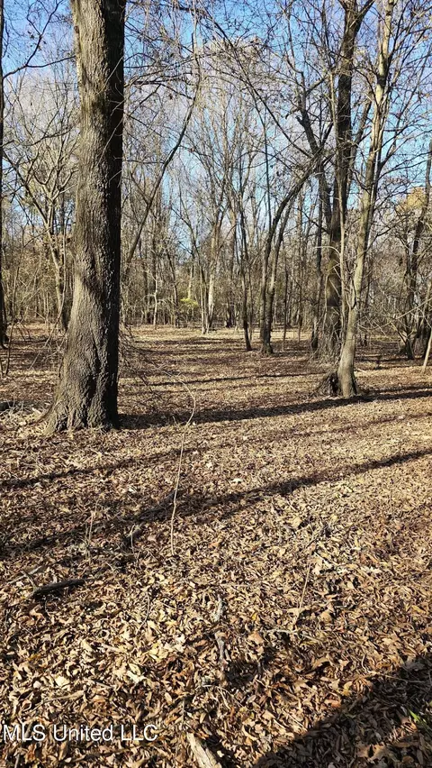 Co 453, Sidon, MS 38954 photo 22