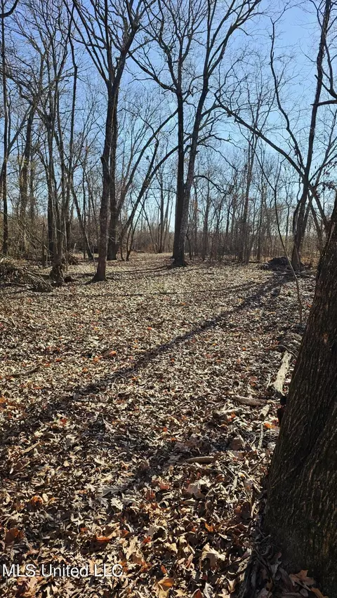 Co 453, Sidon, MS 38954 photo 11