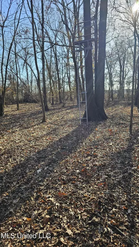 Co 453, Sidon, MS 38954 photo 14