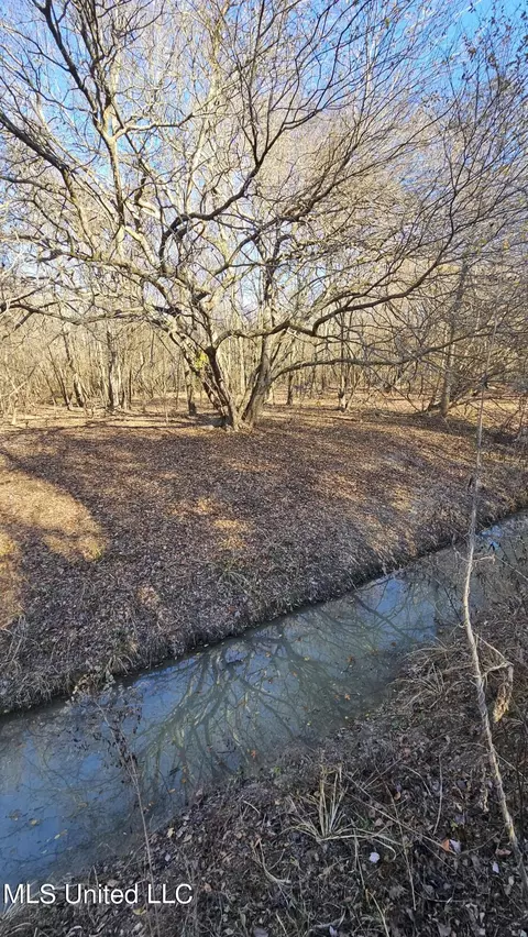 Co 453, Sidon, MS 38954 photo 10