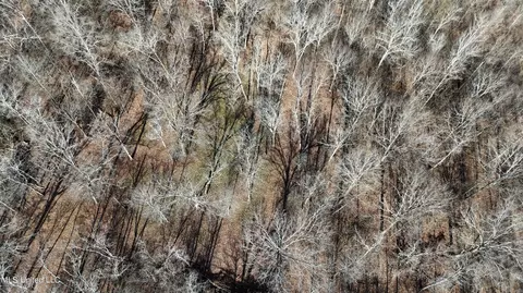 Co 453, Sidon, MS 38954 photo 6