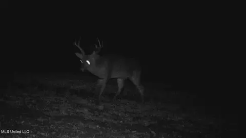 Co 453, Sidon, MS 38954 photo 27