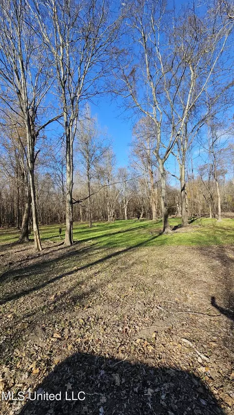 Co 453, Sidon, MS 38954 photo 9