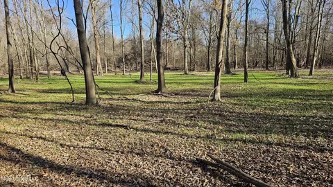 Co 453, Sidon, MS 38954 photo 24