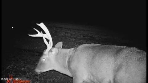 Co 453, Sidon, MS 38954 photo 28