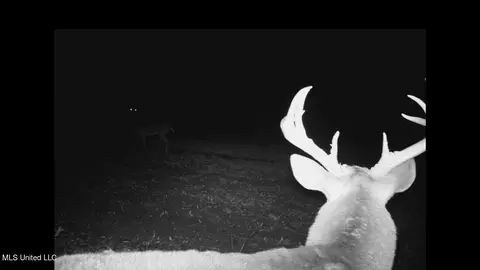 Co 453, Sidon, MS 38954 photo 26