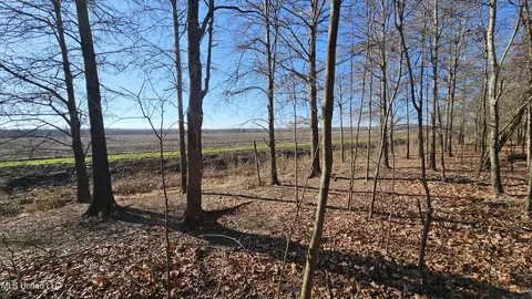 Co 453, Sidon, MS 38954 photo 12