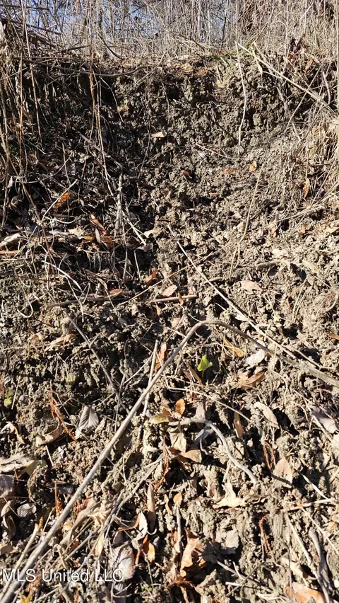 Co 453, Sidon, MS 38954 photo 16
