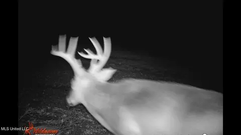 Co 453, Sidon, MS 38954 photo 25
