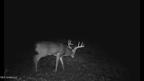 Co 453, Sidon, MS 38954 photo 30