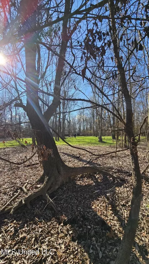 Co 453, Sidon, MS 38954 photo 18