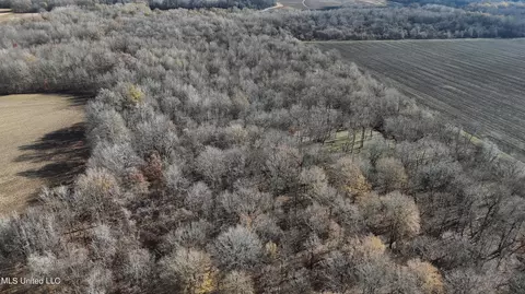 Co 453, Sidon, MS 38954 photo 5
