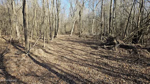 Co 453, Sidon, MS 38954 photo 23