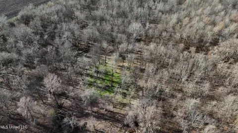 Co 453, Sidon, MS 38954 photo 7