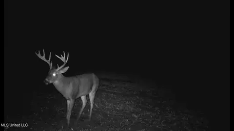 Co 453, Sidon, MS 38954 photo 2