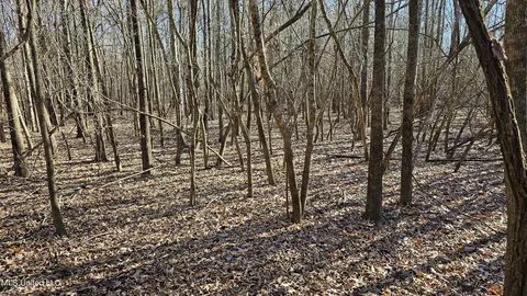 Co 453, Sidon, MS 38954 photo 21