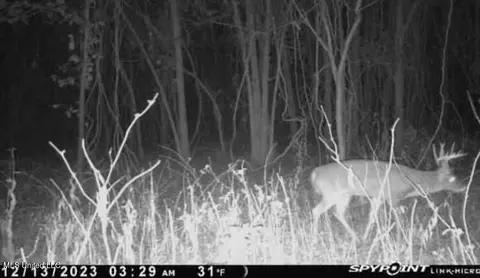 Co 453, Sidon, MS 38954 photo 29