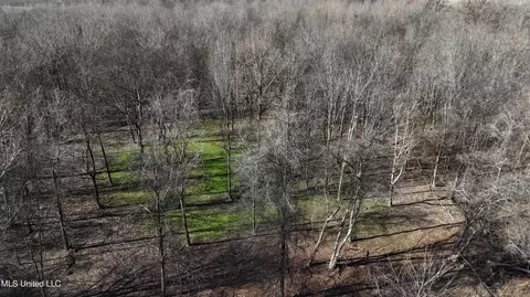 Co 453, Sidon, MS 38954 photo 4