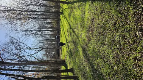 Co 453, Sidon, MS 38954