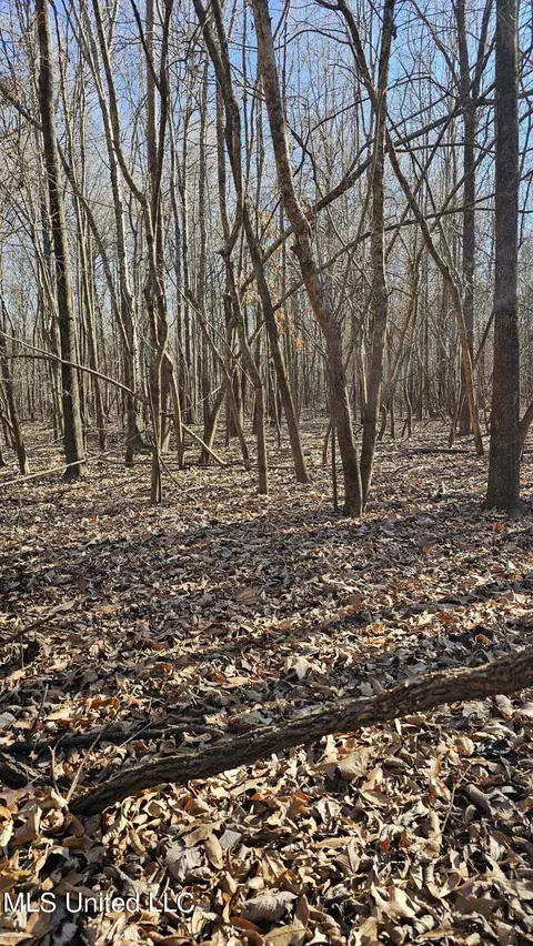 Co 453, Sidon, MS 38954 photo 19