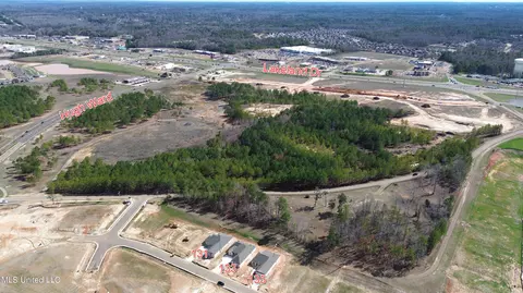 View/Area - 135 Bronson Bnd, Flowood, MS 39232 photo 3 of 4