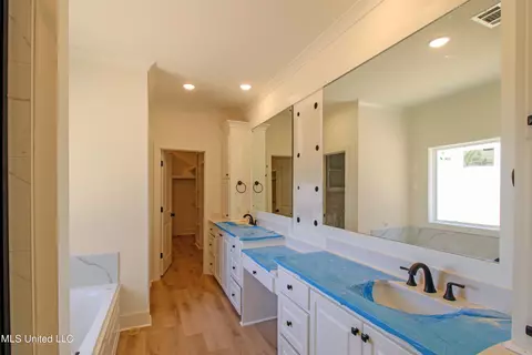 Bath - 135 Bronson Bnd, Flowood, MS 39232 photo 1 of 4