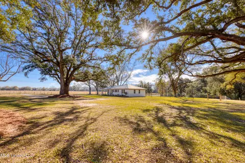 230 Harmon Pope Rd, Lucedale, MS 39452 photo 3