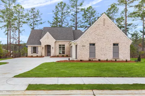 362 Wellstone Pl, Madison, MS 39110 photo 20