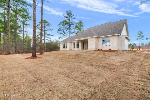 362 Wellstone Pl, Madison, MS 39110 photo 19