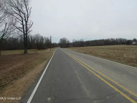 2223 Grass Pond Rd, Hernando, MS 38632 photo 5
