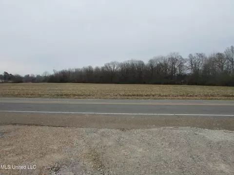 2223 Grass Pond Rd, Hernando, MS 38632 photo 7