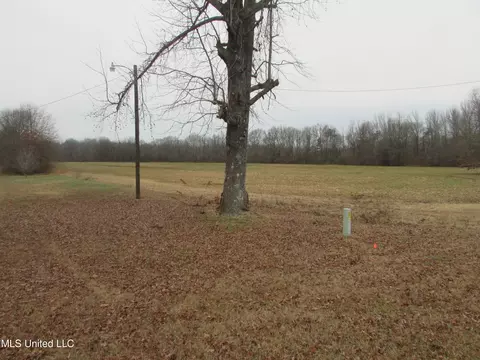 2223 Grass Pond Rd, Hernando, MS 38632 photo 8