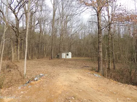 132 Crestfield Rd, Coldwater, MS 38618 photo 28