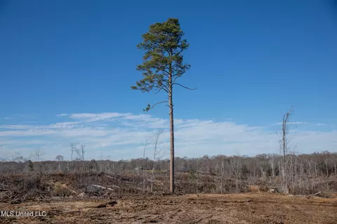 Fox Rd Road, Vicksburg, MS 39183 photo 6