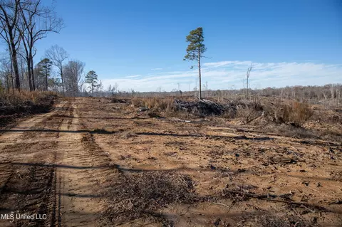 Fox Rd Road, Vicksburg, MS 39183 photo 2