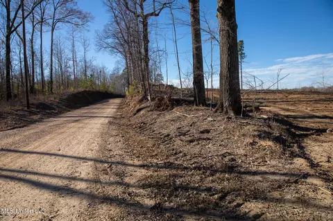 Fox Rd Road, Vicksburg, MS 39183 photo 7