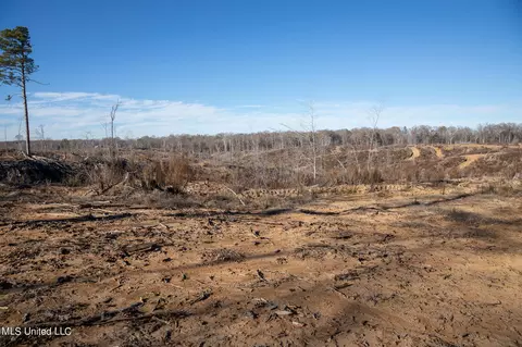 Fox Rd Road, Vicksburg, MS 39183 photo 3