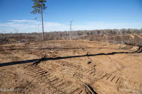 Fox Rd Road, Vicksburg, MS 39183 photo 5