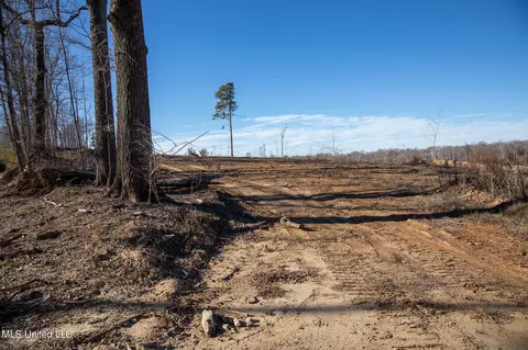 Fox Rd Road, Vicksburg, MS 39183