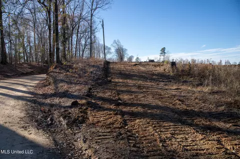 Flowers Hill Road, Vicksburg, MS 39183