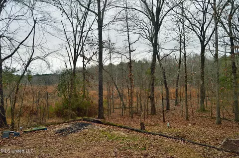 66 A County Road 517, Como, MS 38619 photo 5