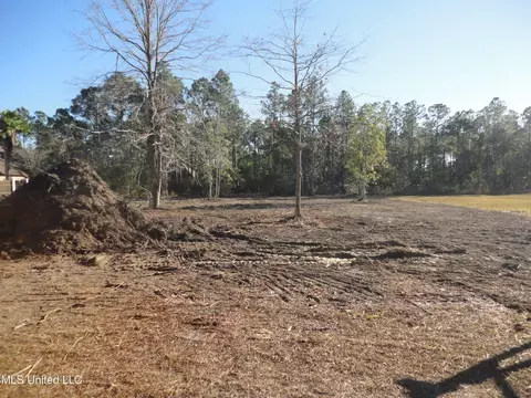 Sand Trap Circle, Gautier, MS 39553 photo 4