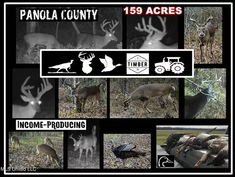 4120 Curtis Rd, Batesville, MS 38606