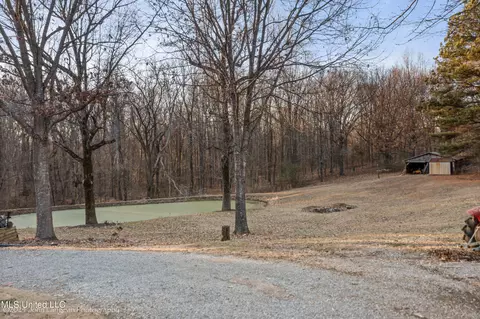2395 Horn Lake Rd, Nesbit, MS 38651 photo 5