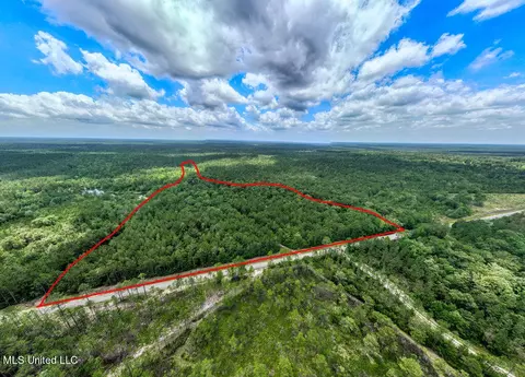View/Area - 20525 Pete Hickman Rd, Saucier, MS 39574 photo 7 of 9