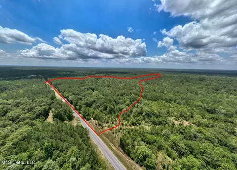 View/Area - 20525 Pete Hickman Rd, Saucier, MS 39574 photo 2 of 9
