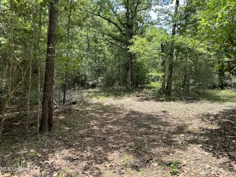 Exterior - 20525 Pete Hickman Rd, Saucier, MS 39574 photo 2 of 3